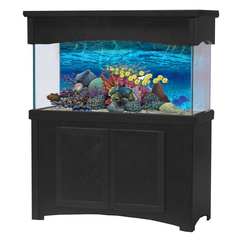 Tucker Murphy Pet Perrin 55 Gallons Aquarium Stand and Canopy Combo Wayfair.ca